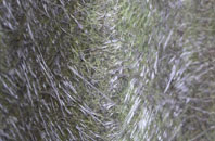 Bluntington fibreglass roof work